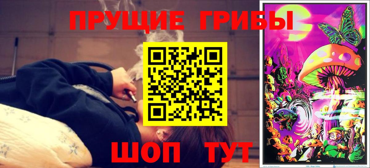 Вологда  Псилоцибиновые грибы ЛСД  Вход с VPN  Псилоцибиновые грибы Magic Shrooms 